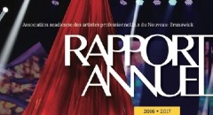 Rapport annuel 2016-2017