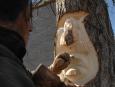 Pawakan de Ned Bear